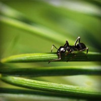 /album/untheprati/photolia-a05-jpg/