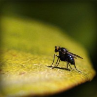 /album/untheprati/photolia-a07-jpg/