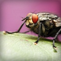 /album/untheprati/photolia-a08-jpg/
